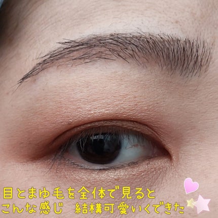 ラブ・ライナー シグネチャーフィットペンシル<アイブロウ>/ラブ・ライナー/アイブロウペンシルを使ったクチコミ(6枚目)