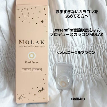 MOLAK 1day コーラルブラウン/MOLAK/ワンデー（１DAY）カラコンを使ったクチコミ（1枚目）