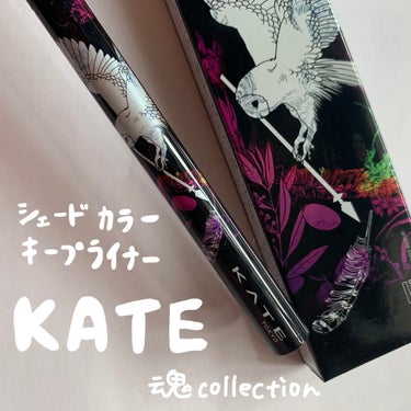 KATE 魂コレクション シェードカラーキープライナー BK-1 ノーブルブラック/KATE/リキッドアイライナーを使ったクチコミ（1枚目）