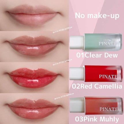 ナチュラルブルームリップオイルセラム 3色セット/PINATE/リップグロスを使ったクチコミ(4枚目)
