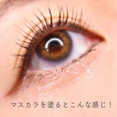 self eyelash perm kit/Qoo10/その他キットセットの画像