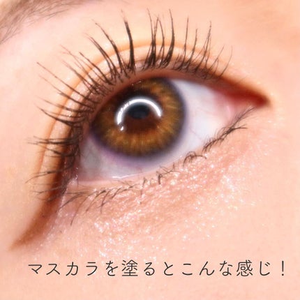 self eyelash perm kit/Qoo10/その他キットセットを使ったクチコミ(8枚目)