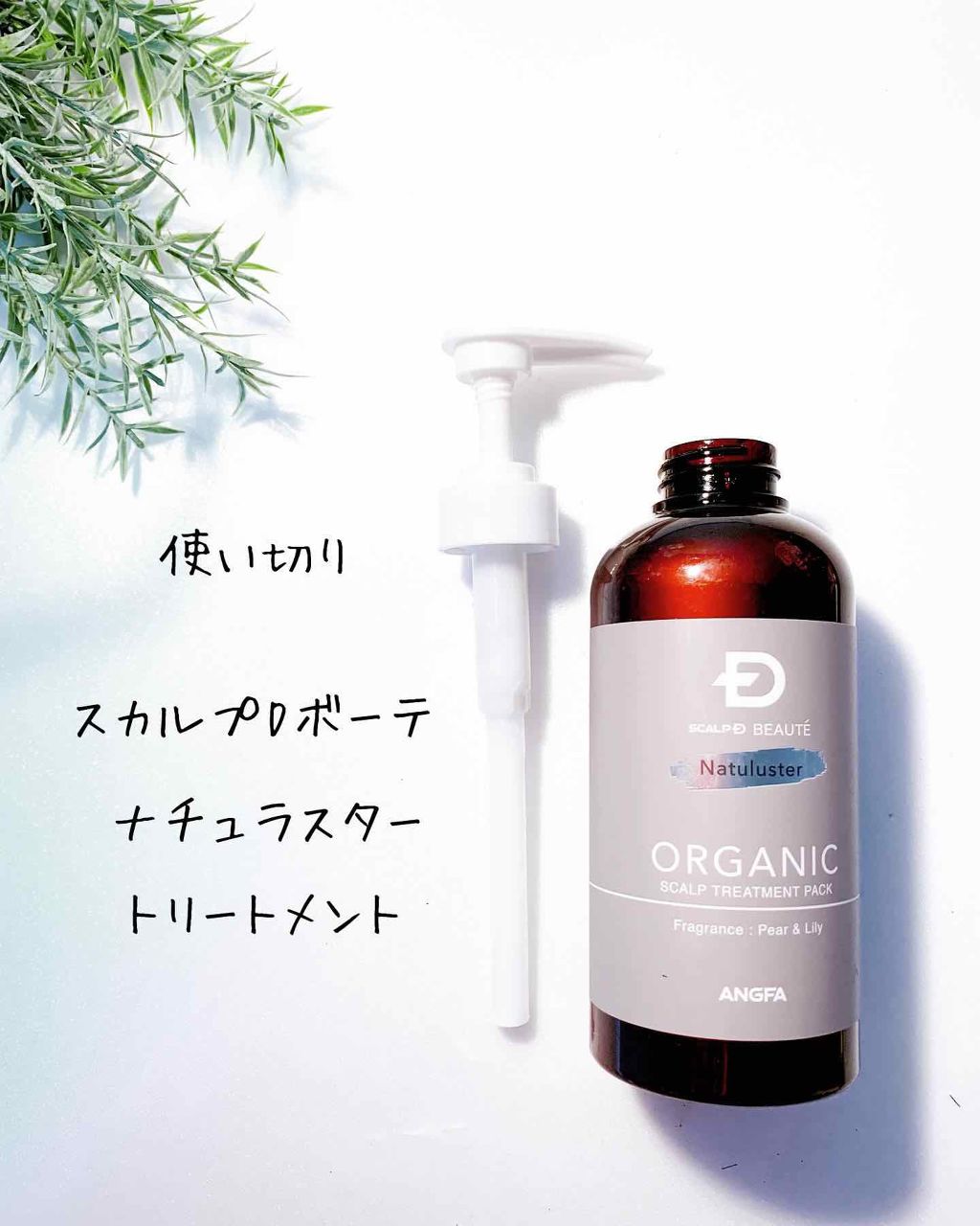 スカルプD ボーテ ナチュラスター スカルプシャンプー/トリートメントパック/アンファー(スカルプD)/シャンプー・コンディショナーを使ったクチコミ(3枚目)