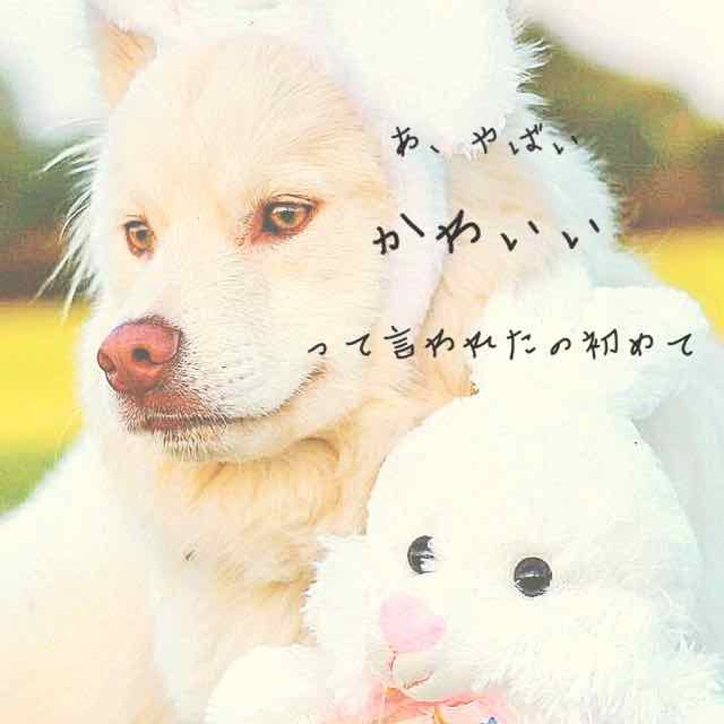 青箱 (さっぱり)/カウブランド/ボディ石鹸を使ったクチコミ（1枚目）