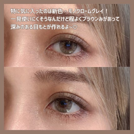 フェイスカラーパレット/チャコット・コスメティクス/アイシャドウパレットを使ったクチコミ(7枚目)