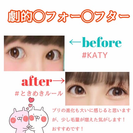 を使ったクチコミ(2枚目)