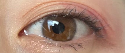 コットン ブラッシャー/MISSHA/パウダーチークを使ったクチコミ(4枚目)