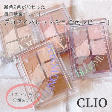 プロ アイパレット ミニ/CLIO/パウダーアイシャドウを使ったクチコミ（1枚目）