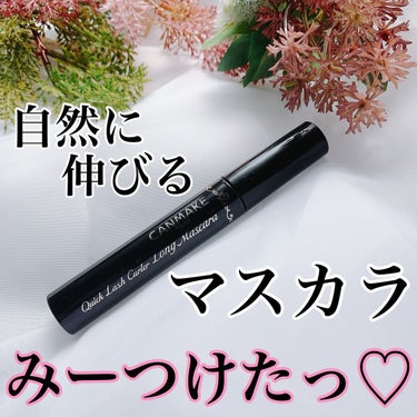 昔、マスカラ難民から救ってくれたこちら❤️﻿
﻿
私の中で90点のマスカラ✨✨(90点なのはこれよりいいものを後から見つけちゃったから😂また紹介します💦)
﻿

CANMAKEのクイックラッシュカーラ