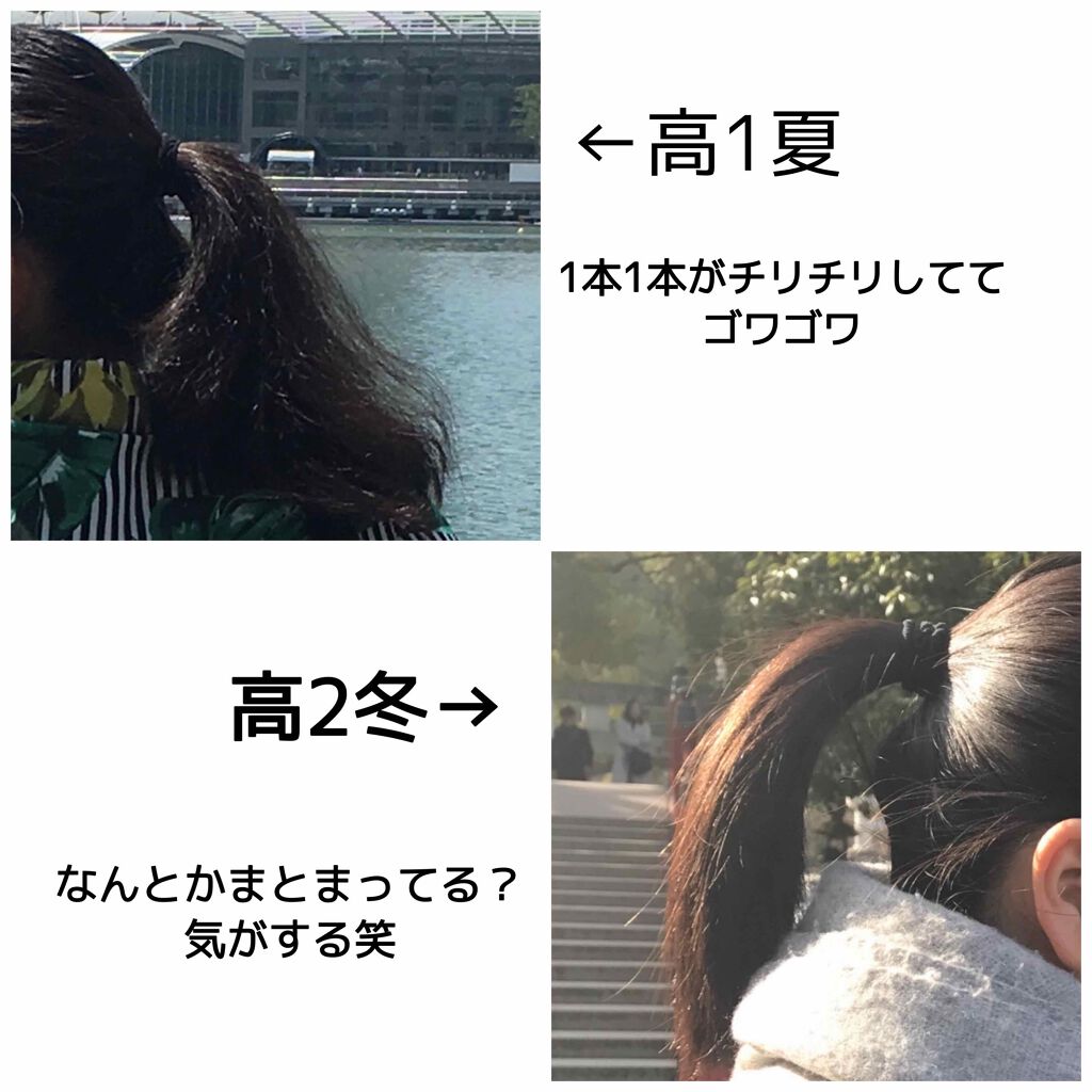 システミックオイル/Sign/ヘアオイルを使ったクチコミ（2枚目）