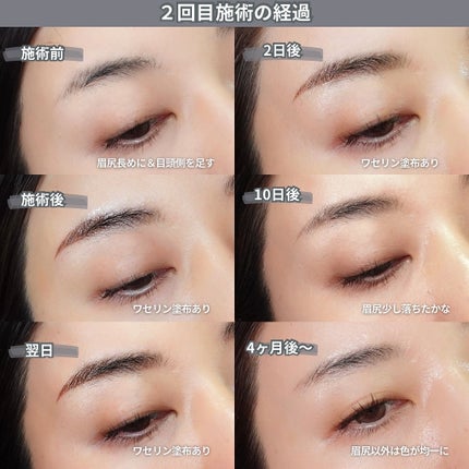 talico on LIPS 「【濃いめ自眉毛による眉毛アートレポ2024】わりと眉毛ある方..」(4枚目)