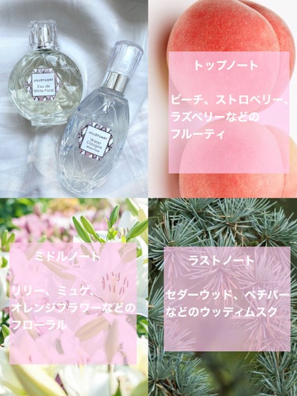 ウォーターコロン ホワイトフローラル/JILL STUART/香水(レディース)を使ったクチコミ(2枚目)