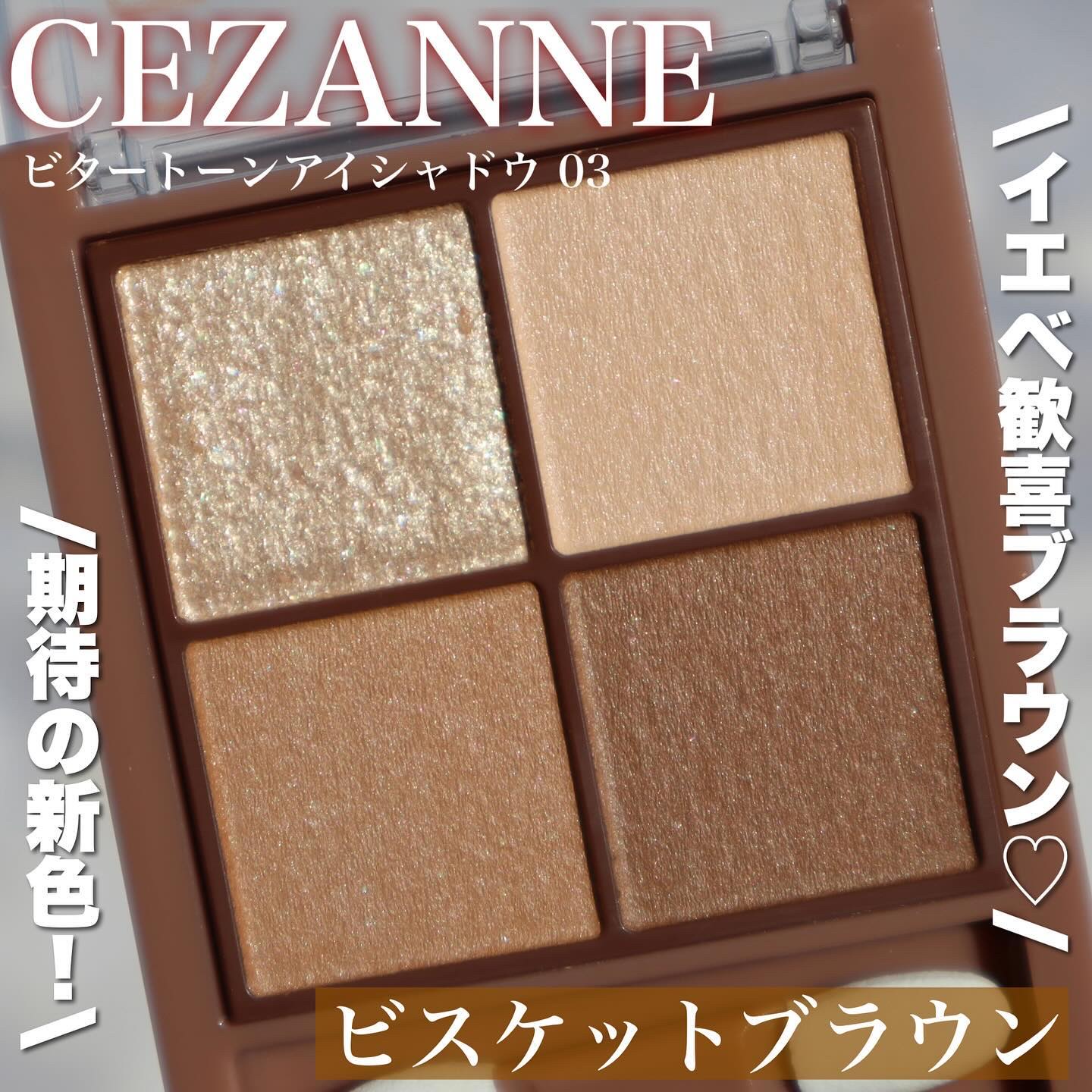 ビタートーンアイシャドウ/CEZANNE/パウダーアイシャドウを使ったクチコミ（1枚目）