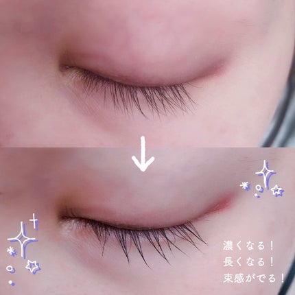 マジックティント/MAJOLICA MAJORCA/マスカラを使ったクチコミ(4枚目)