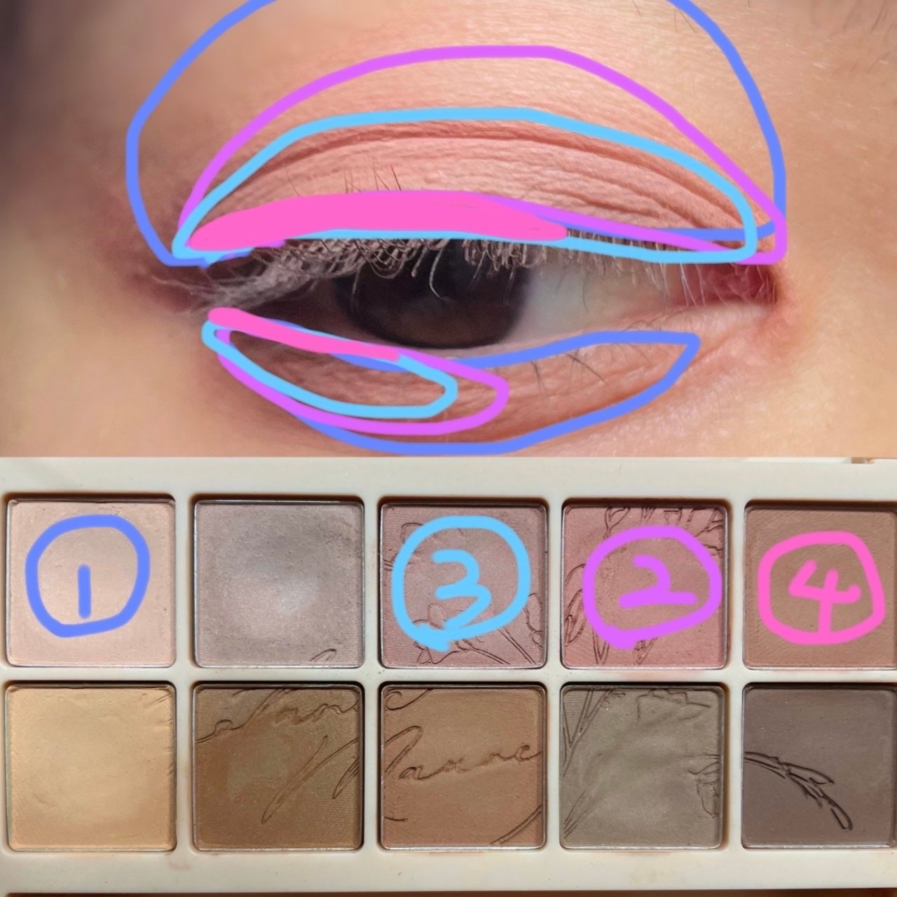 プロ アイ パレット/CLIO/アイシャドウパレットを使ったクチコミ(2枚目)