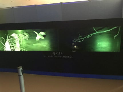 クリア マスカラR/CEZANNE/マスカラ下地を使ったクチコミ(4枚目)