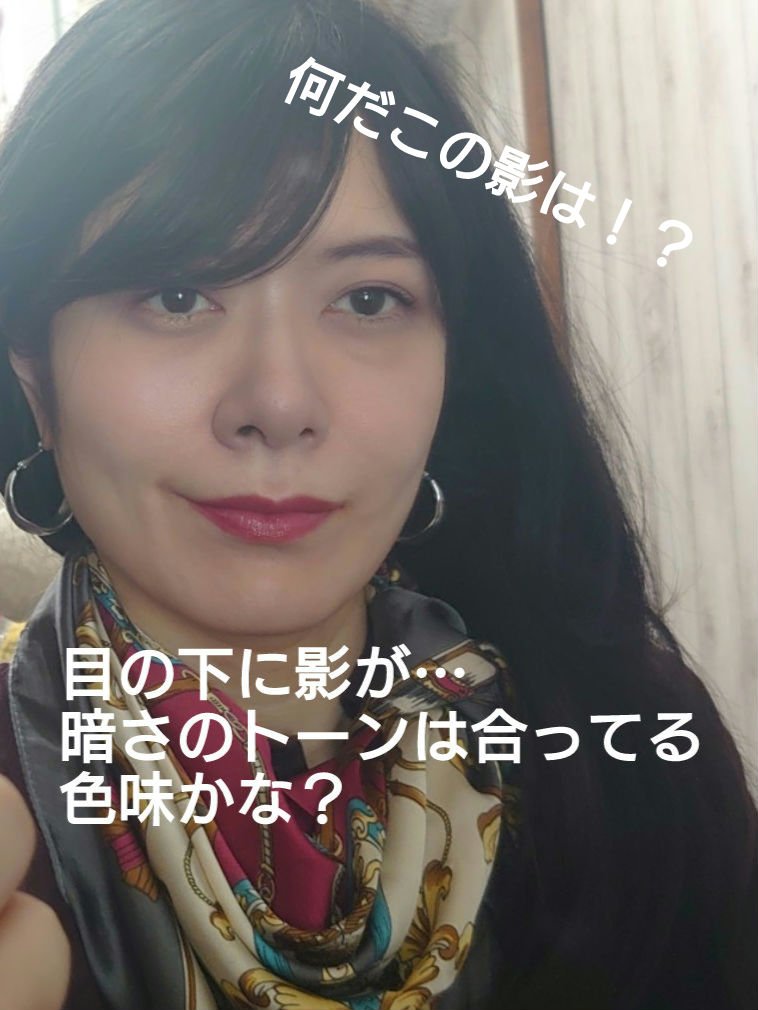 MilleFée 天使の絵画チークのクチコミ「ヴェイパのアイシャドウパレット、その他２点をお友達からいただいたので、オレンジのペンシル以外は.....」（3枚目）