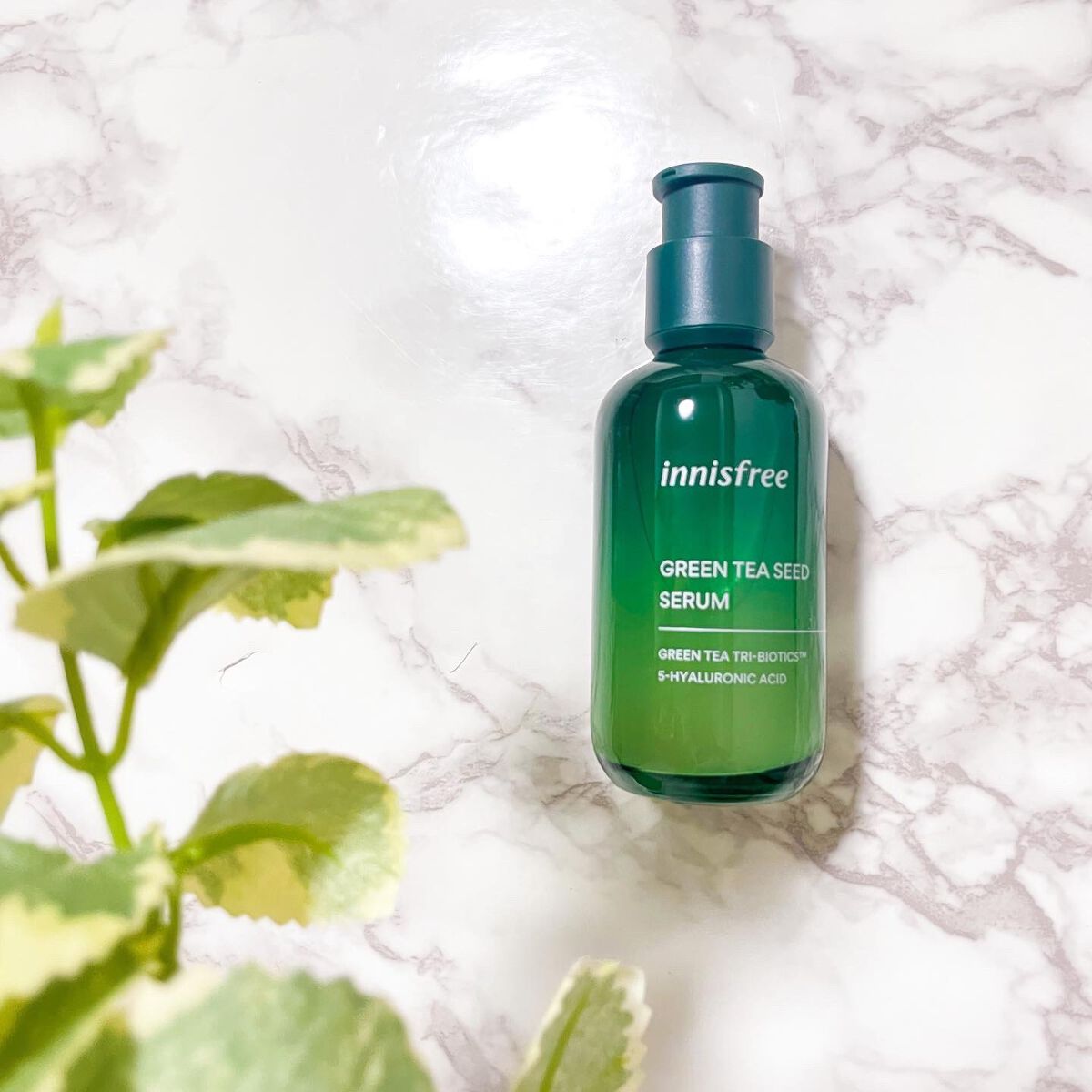 グリーンティーシード セラム N/innisfree/美容液を使ったクチコミ（1枚目）