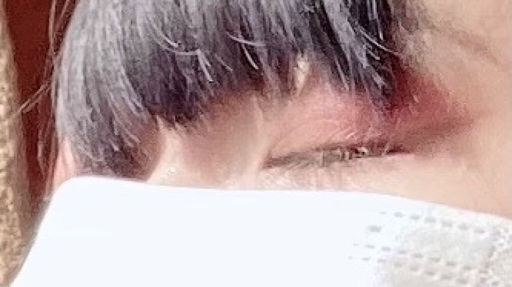 グロウフルールチークス/キャンメイク/パウダーチークを使ったクチコミ（1枚目）