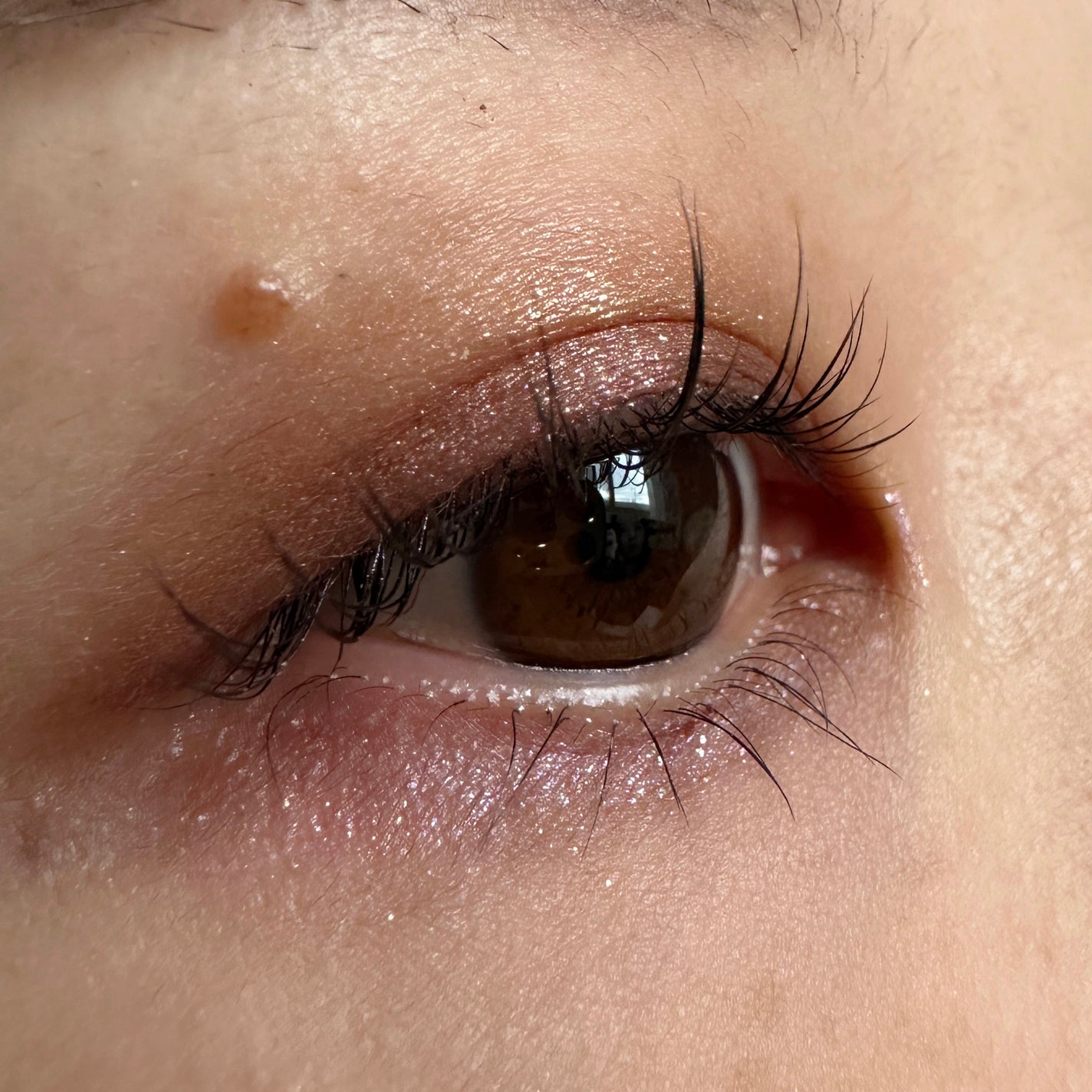 リュクスアイシャドウ/BOBBI BROWN/単色アイシャドウを使ったクチコミ(2枚目)