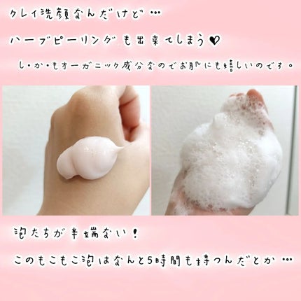 Clay Facial Care Boost Facial Wash/aoe organic cosmetics/洗顔フォームを使ったクチコミ(2枚目)