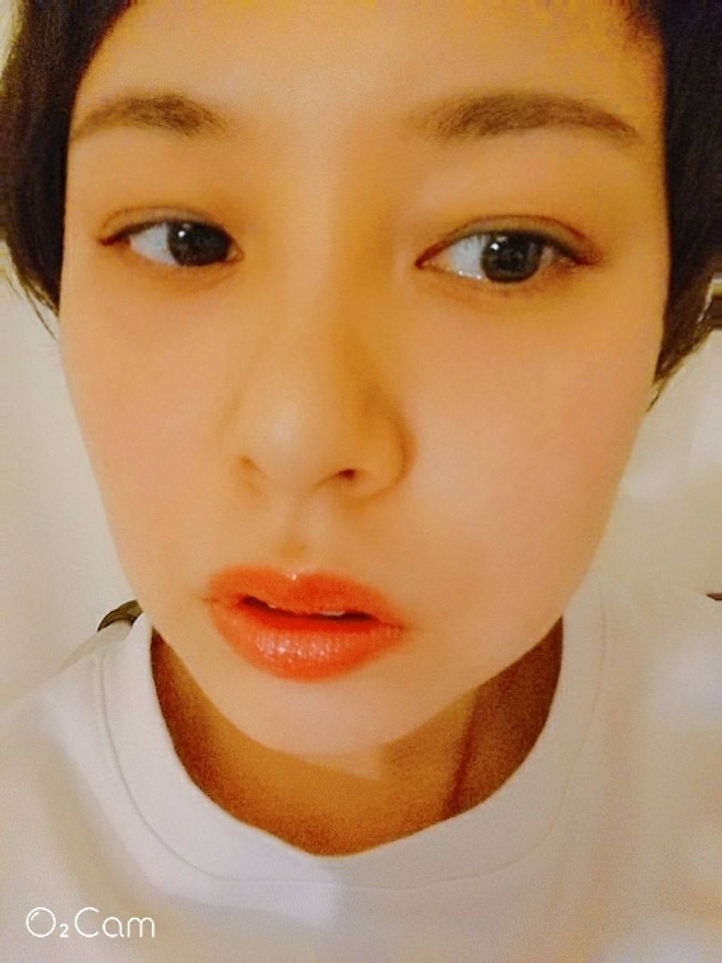 ルージュ アンリミテッド/shu uemura/口紅を使ったクチコミ(2枚目)