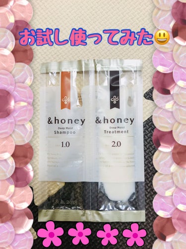 ディープモイスト シャンプー1.0／ヘアトリートメント2.0/&honey/シャンプー・コンディショナーを使ったクチコミ（1枚目）