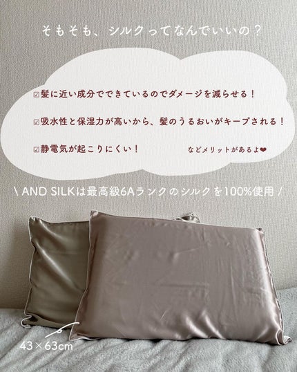 シルク枕カバー/ANDSILK/その他スタイリングを使ったクチコミ(3枚目)