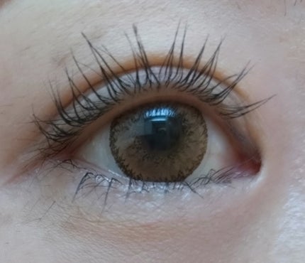 マスカラ WP/3650/マスカラを使ったクチコミ(6枚目)