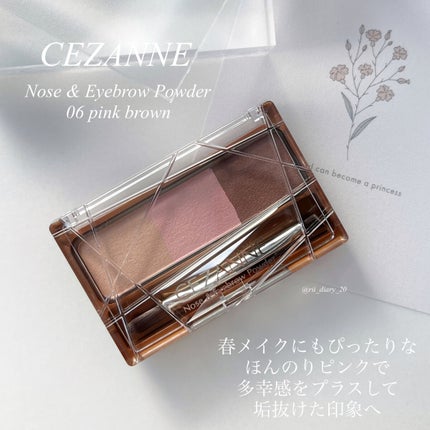 ノーズ&アイブロウパウダー/CEZANNE/パウダーアイブロウを使ったクチコミ(4枚目)