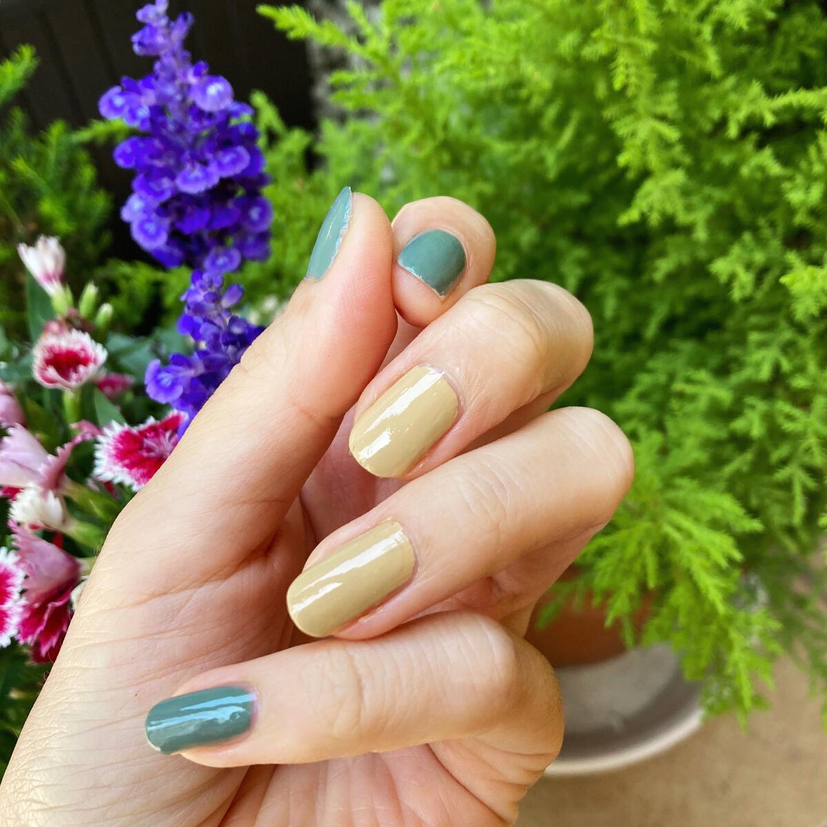 セルヴォーク クレイヴドネイルポリッシュ 04 ヌカ/Celvoke/マニキュアを使ったクチコミ（2枚目）