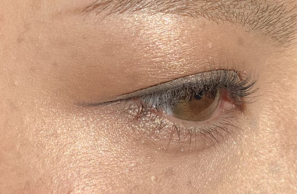 パノラマデザイン アイパレット BR-2 グレージュブラウン/Visée/アイシャドウパレットを使ったクチコミ（3枚目）