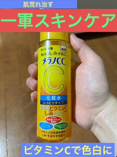 白潤プレミアム薬用浸透美白化粧水/肌ラボ/化粧水を使ったクチコミ（1枚目）