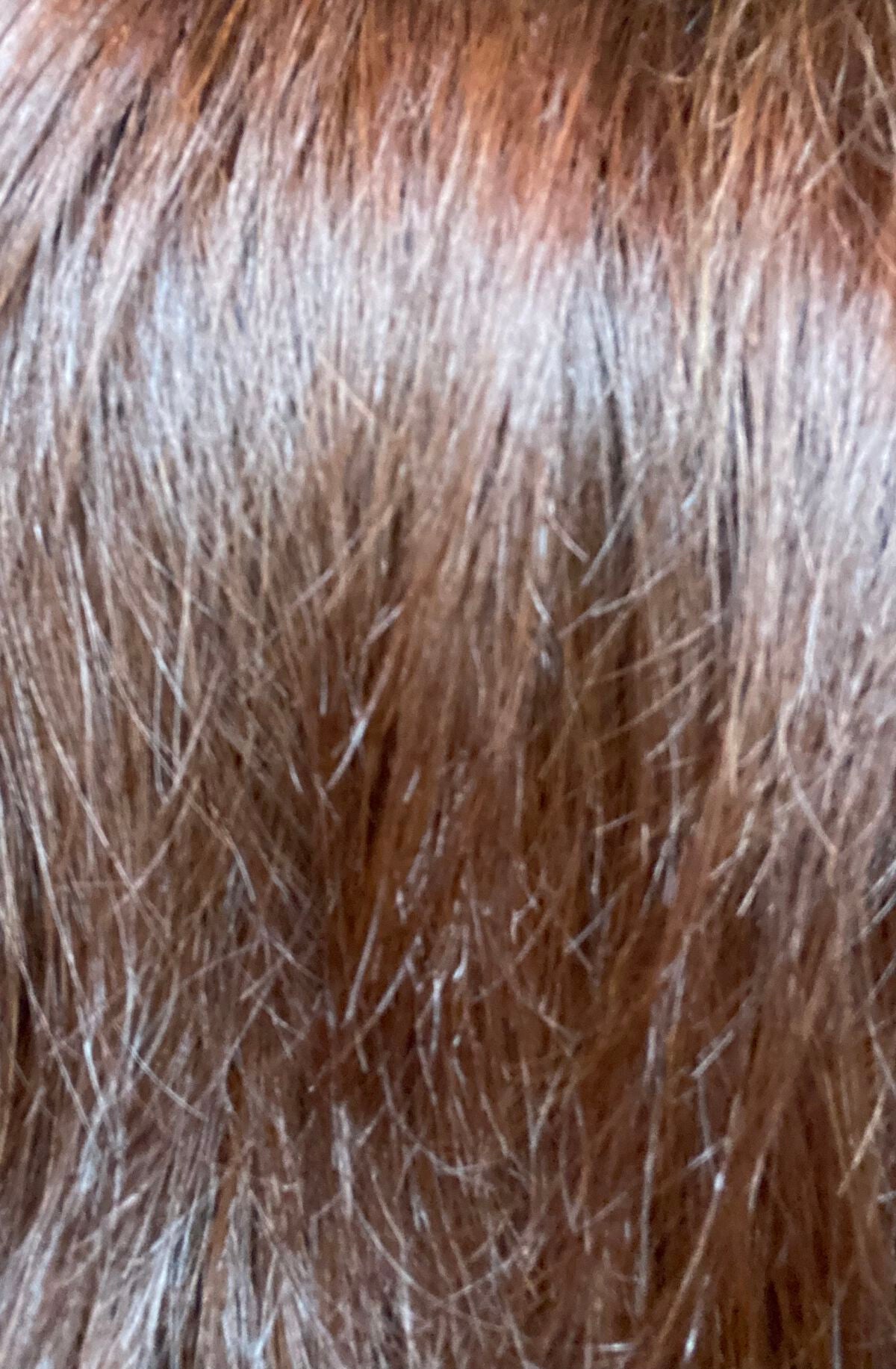 ノンシリコン アミノ酸 シャンプー/コンディショナー 衣薫(ころもかおる)/MOGANS/市販シャンプーを使ったクチコミ(4枚目)