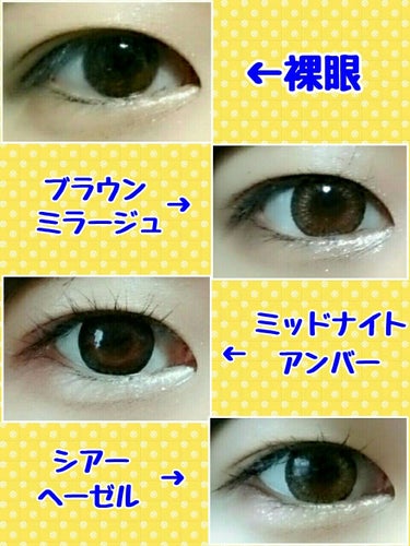 loveil 1day / 1month Sheer hazel/loveil/ワンデー（１DAY）カラコンを使ったクチコミ（2枚目）