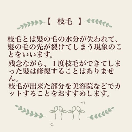 N. シアオイル/N./ヘアオイルを使ったクチコミ(3枚目)