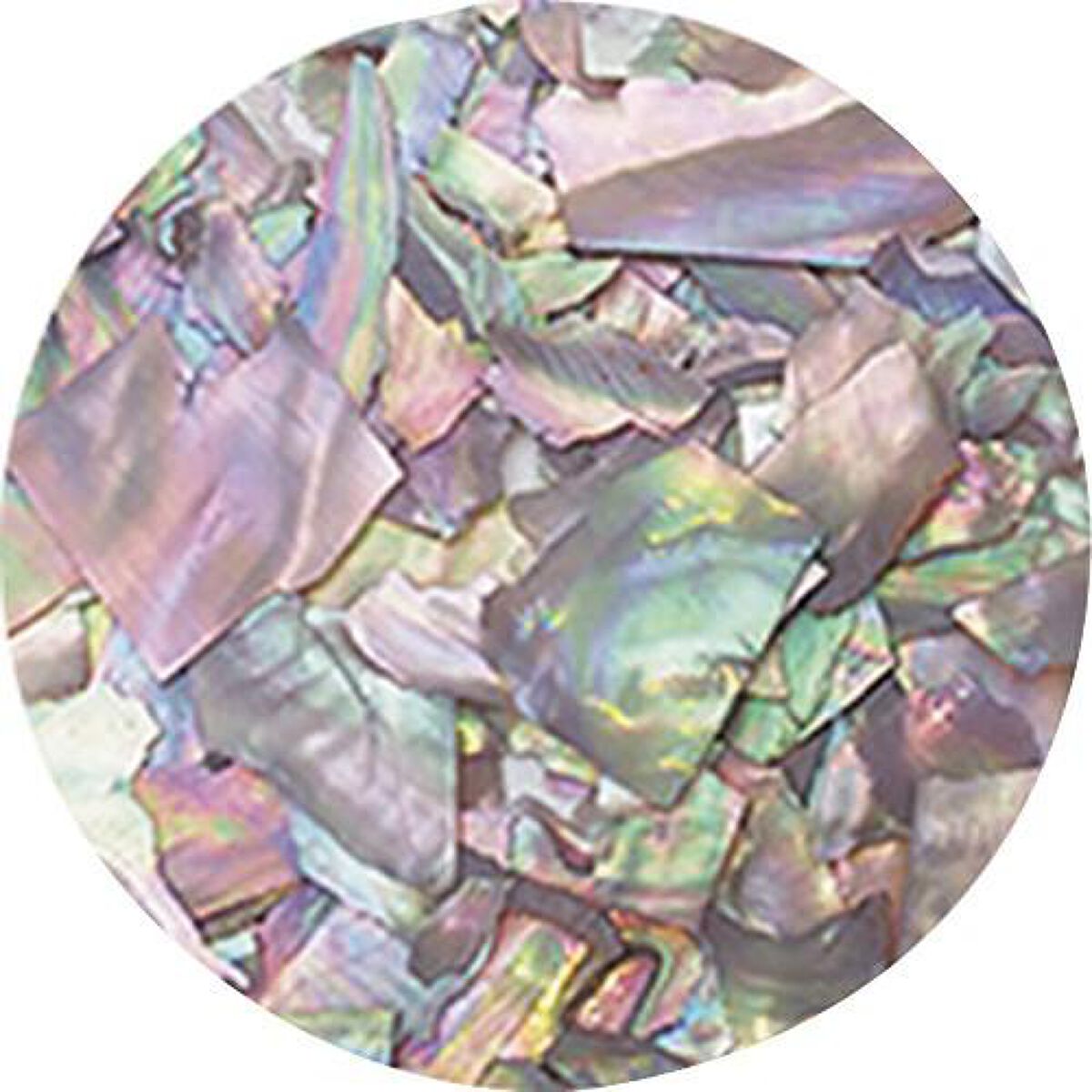 ナチュラルビーチシェル agehagel