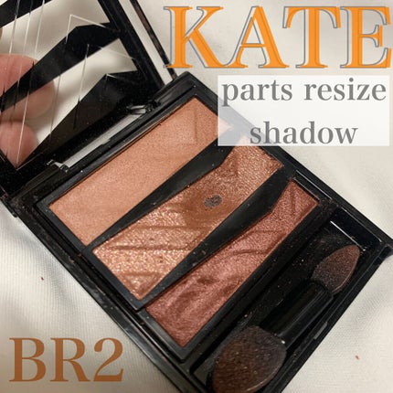 パーツリサイズシャドウ/KATE/アイシャドウパレットを使ったクチコミ(1枚目)