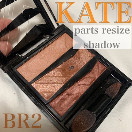パーツリサイズシャドウ/KATE/アイシャドウパレットを使ったクチコミ(1枚目)