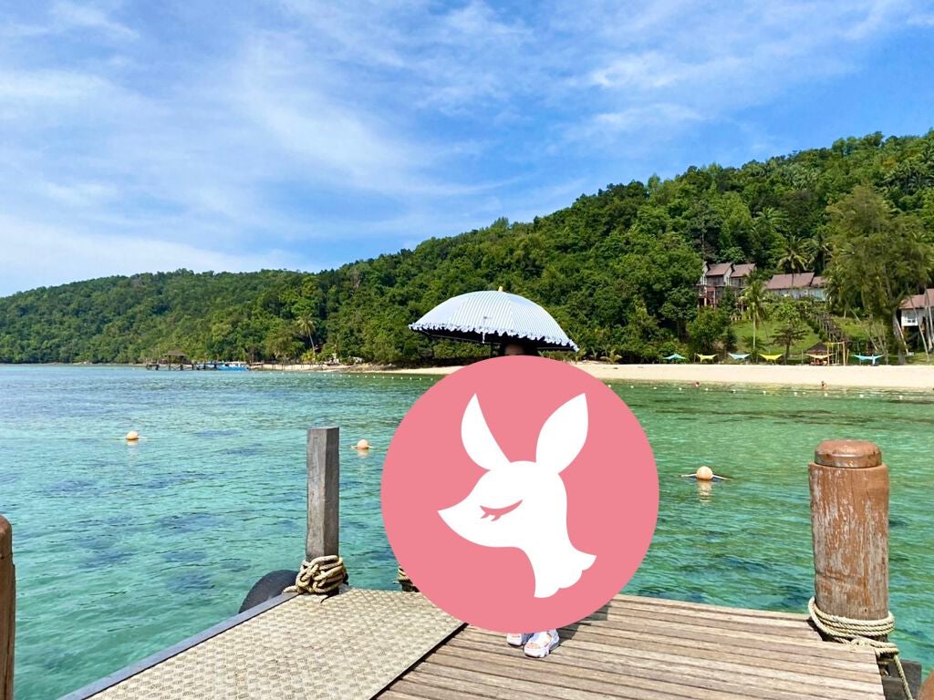 サンバリア100/サンバリア100/日傘を使ったクチコミ(2枚目)