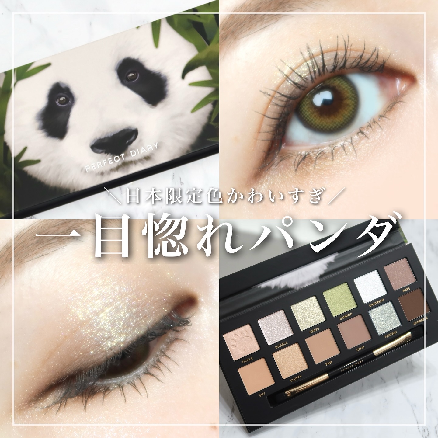 エクスプローラ12色 動物アイシャドウパレット/PERFECT DIARY/アイシャドウパレットを使ったクチコミ（1枚目）