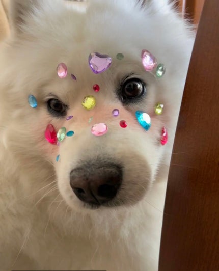 柳 on LIPS 「#LIPS投稿アワードメイクハウツー..」(7枚目)