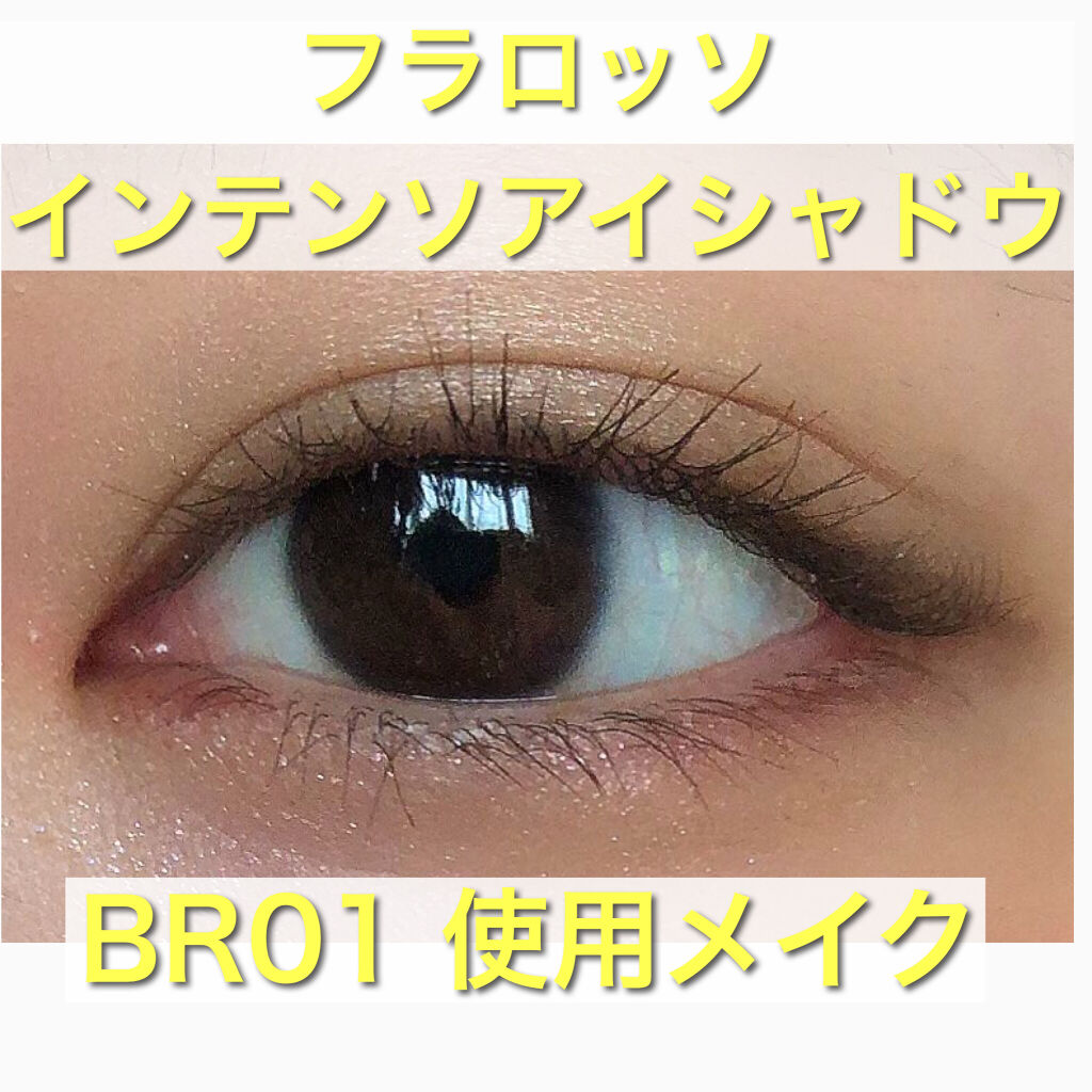 フラロッソ インテンソ アイシャドウ BR01/アスタリフト/アイシャドウパレットを使ったクチコミ（1枚目）