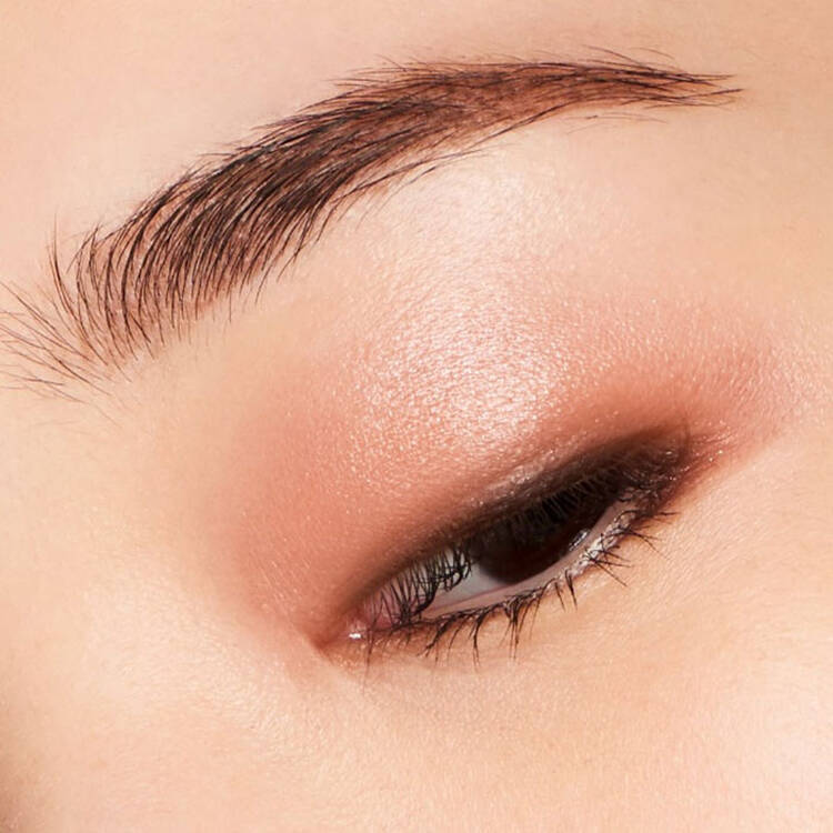 プレスド アイシャドー（レフィル） P ソフトコーラル 121 A