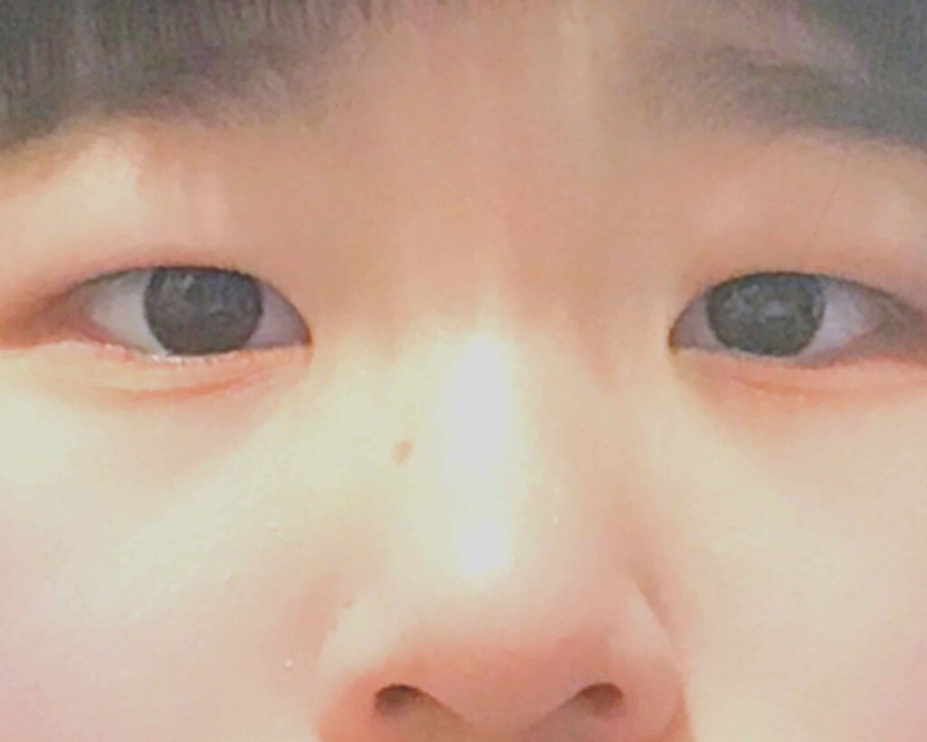 【旧品】パーフェクトスタイリストアイズ/キャンメイク/アイシャドウパレットを使ったクチコミ（1枚目）