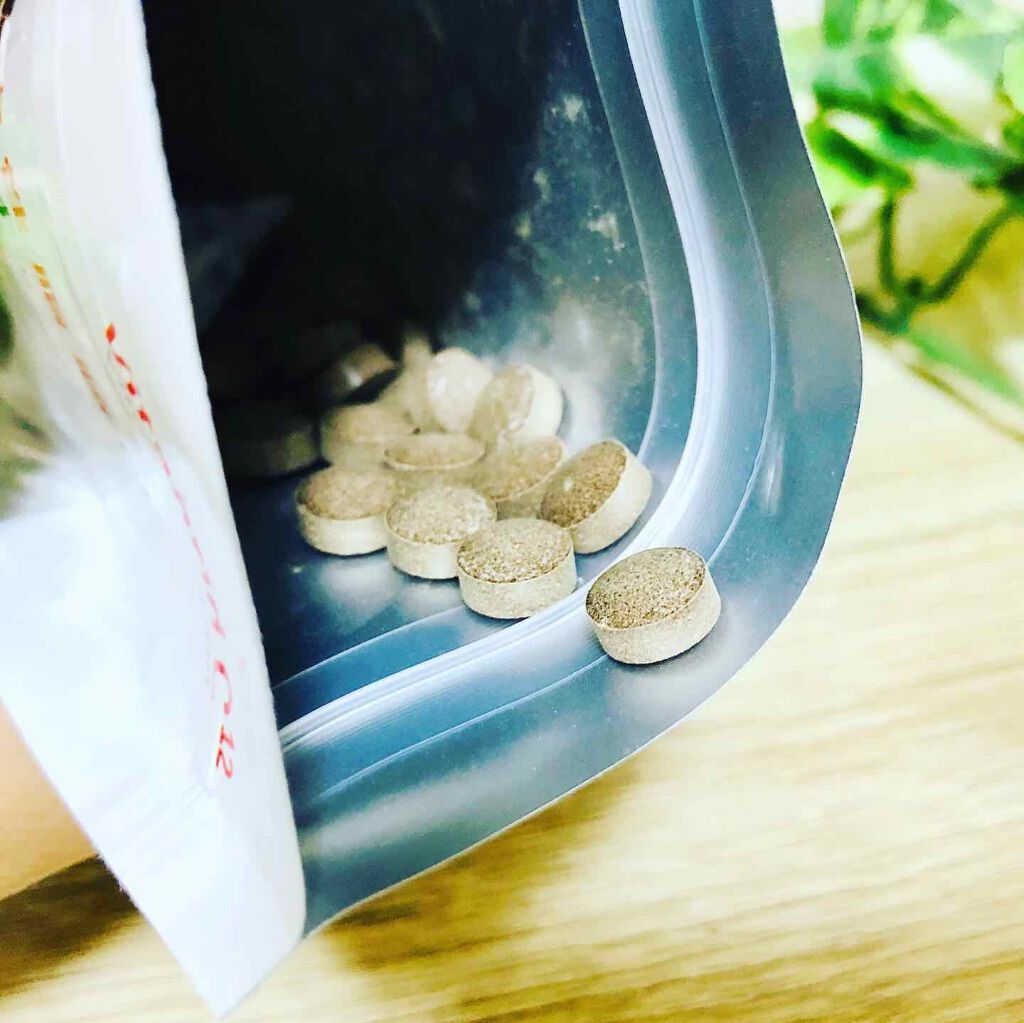 糖脂にターミナリアファースト プロフェッショナル/ビタブリッドジャパン/健康サプリメントを使ったクチコミ（2枚目）