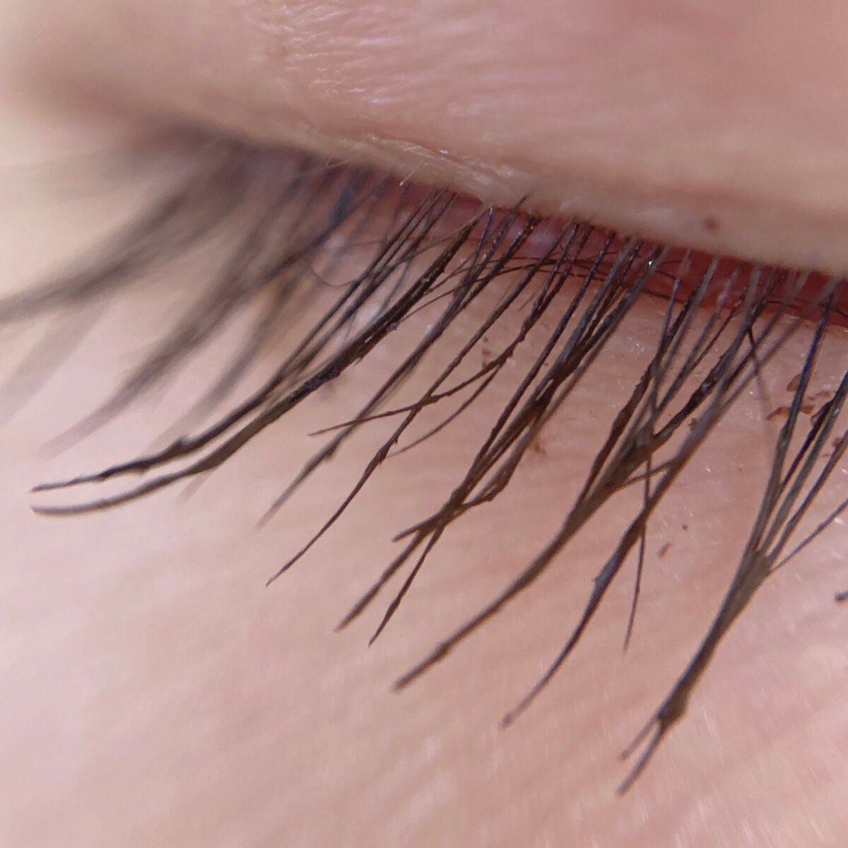 パーフェクトエクステンション マスカラ for カール/D-UP/マスカラを使ったクチコミ(9枚目)