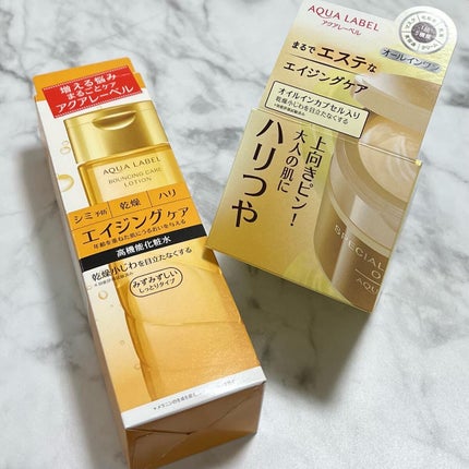 スペシャルジェルクリームA(オイルイン)/アクアレーベル/オールインワン化粧品を使ったクチコミ(10枚目)