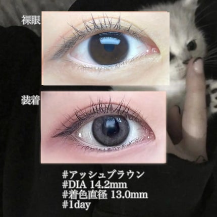 eye closet 1DAY/EYE CLOSET/ワンデー(1DAY)カラコンを使ったクチコミ(2枚目)