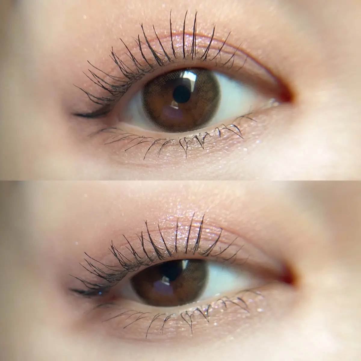 最近使用頻度高めのKATE ポッピングシルエットシャドウEX-3と、フェリアモのカフェモカ🩷🤎
どちらもナチュラルに盛れるから平日手が伸びがち🫶

#PR #リリーアンナ公式アンバサダー 
#カラコン通販リリーアンナ